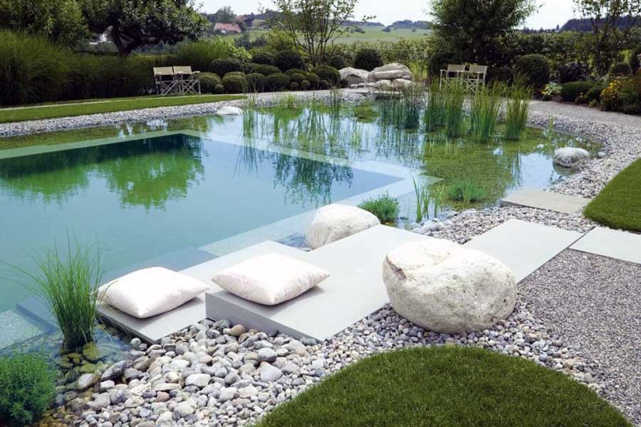 Les meilleurs conseils pour entretenir une piscine naturelle en toute simplicité