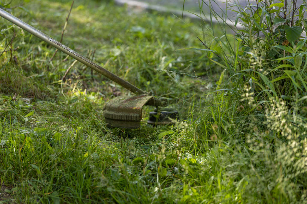 Débroussailleuse dans un jardin, déchets verts à ramasser