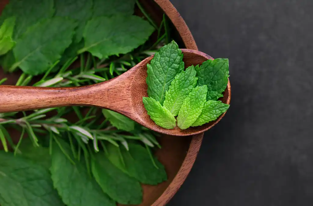 Herbes aromatique du potager en cuisine